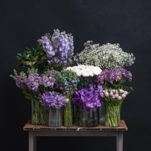 Valikukimp violetne-valge üllatus