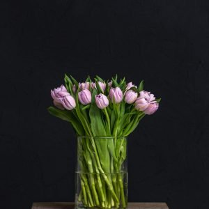 Tulp
